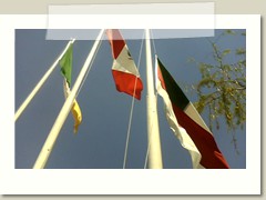 IMG03